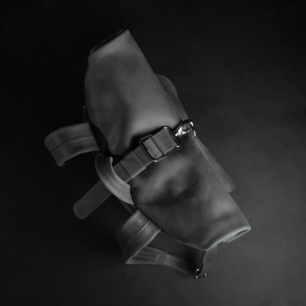 Matte Leather Roll Top Backpack