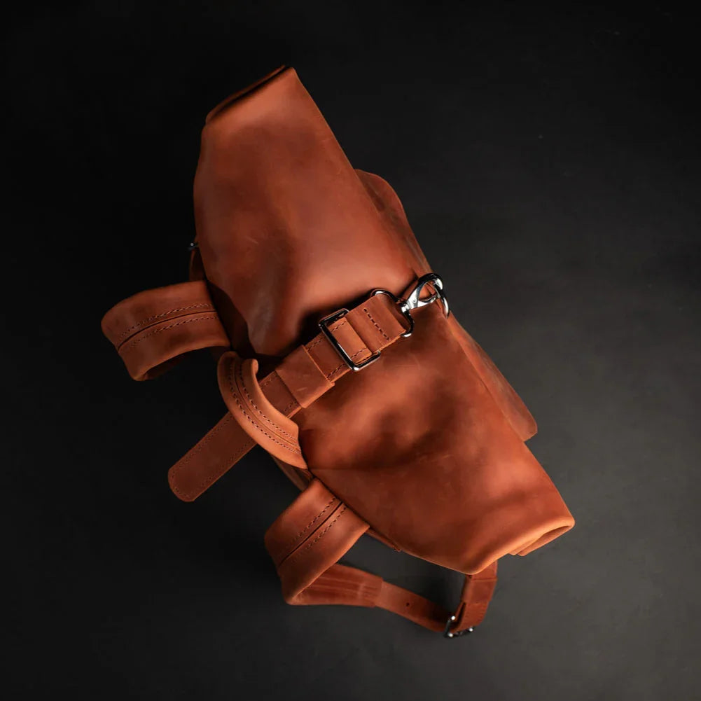 Matte Leather Roll Top Backpack
