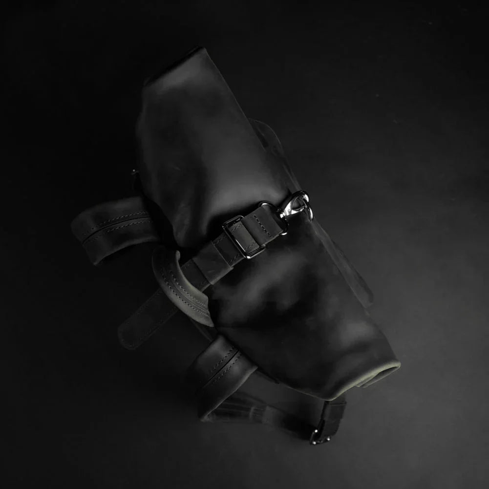 Matte Leather Roll Top Backpack