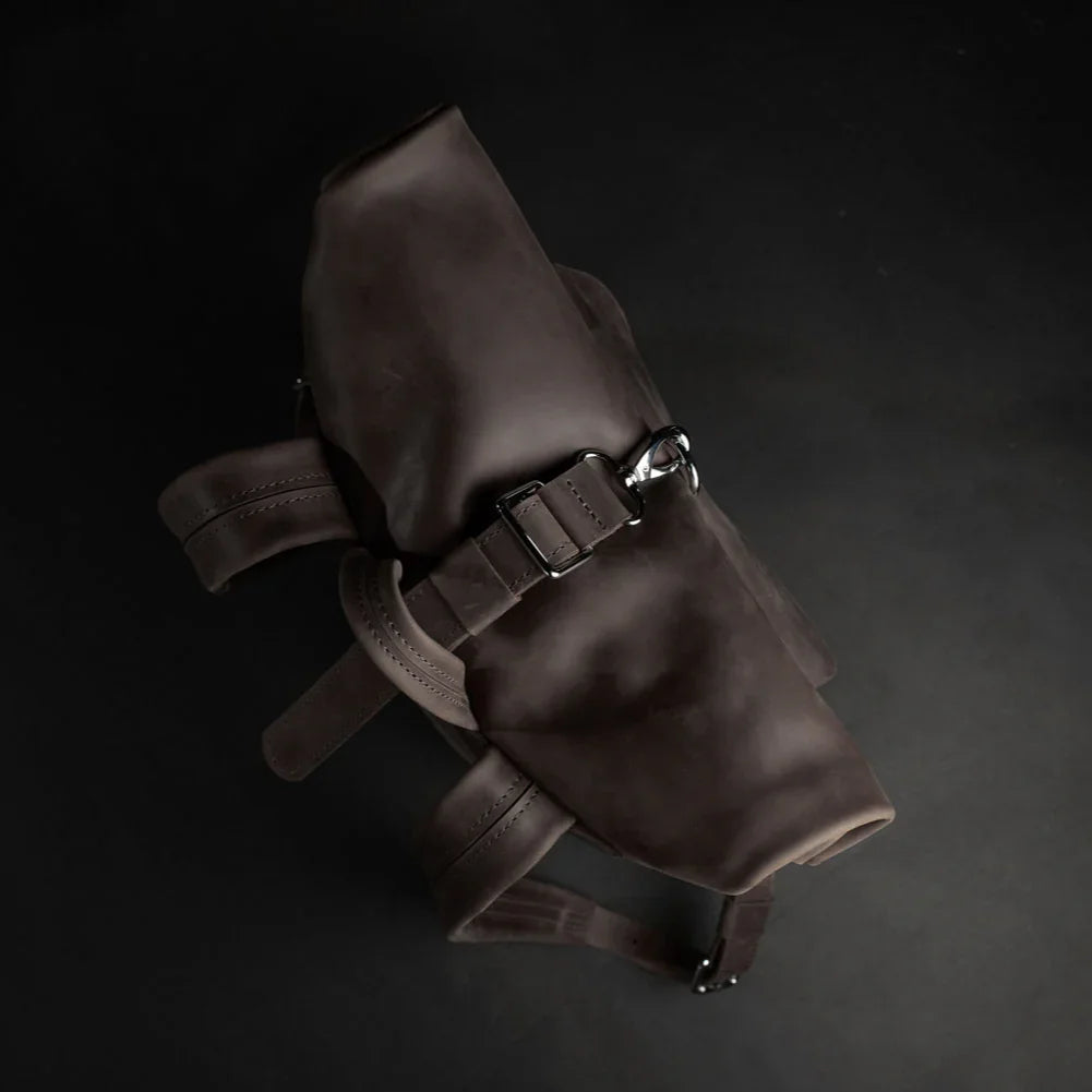 Matte Leather Roll Top Backpack