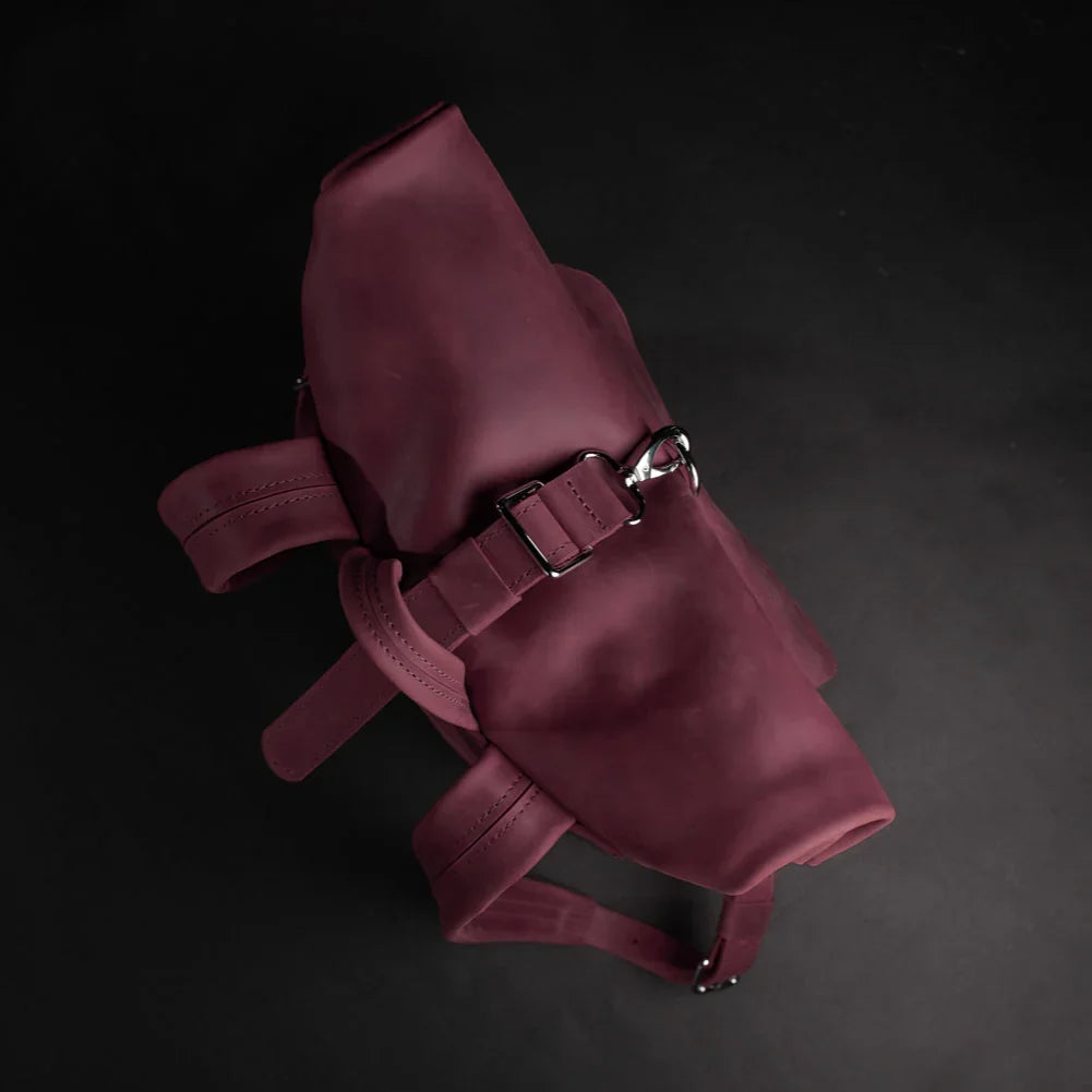Matte Leather Roll Top Backpack
