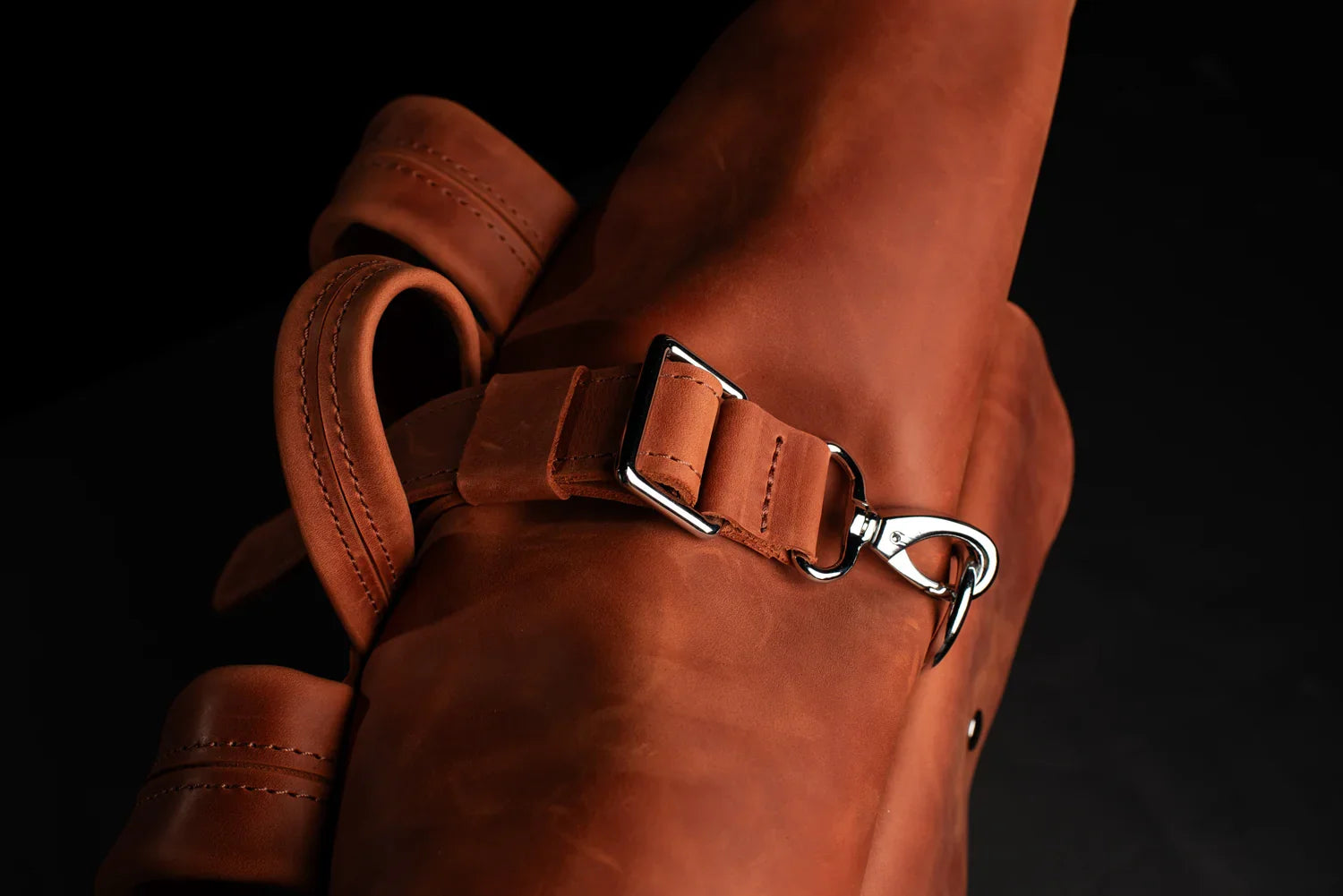 Matte Leather Roll Top Backpack