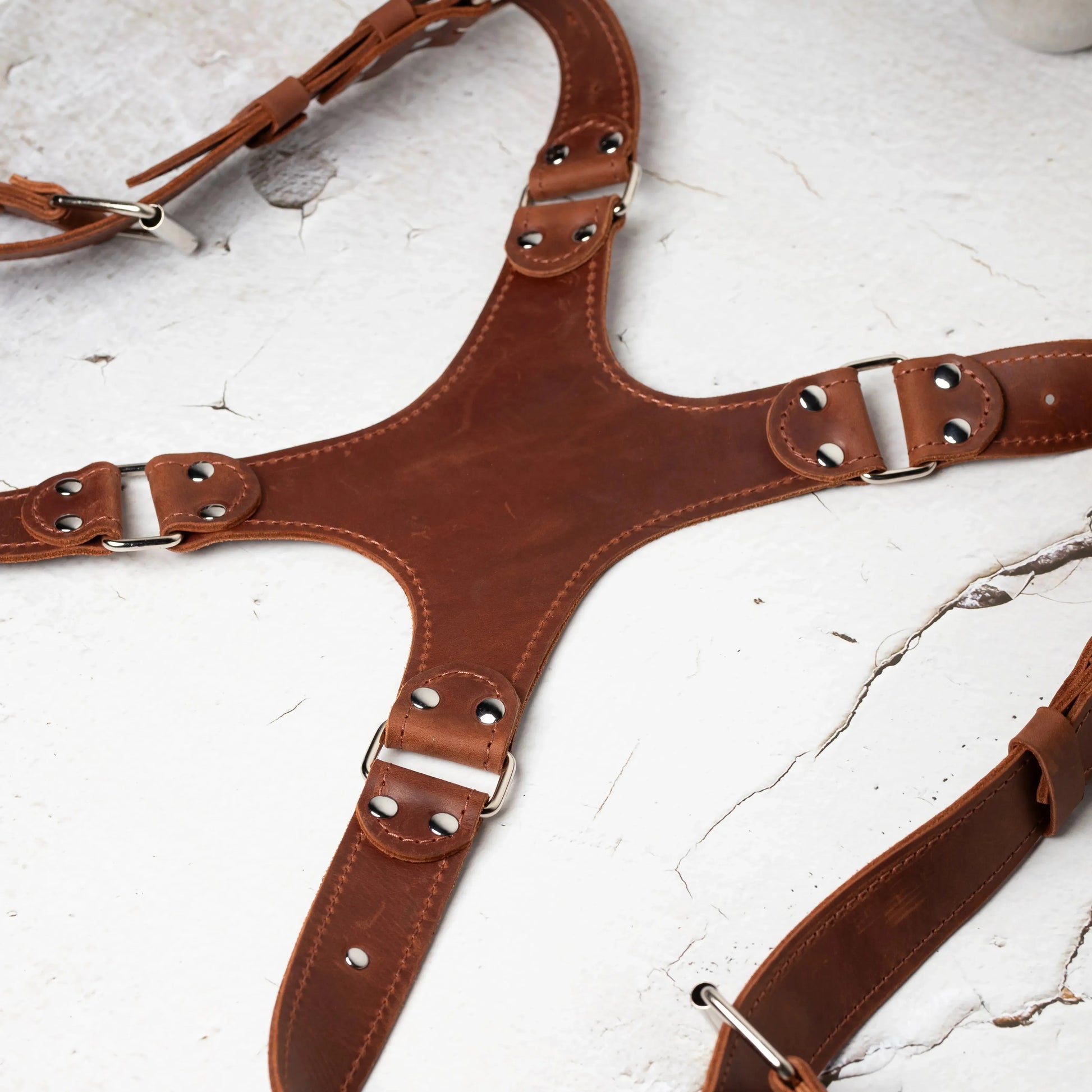Dual Camera Harness – Matte Leather with Custom Logo Option